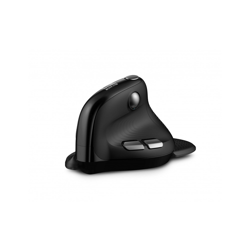 Souris Urban Factory ERGO Max – Droitier, RF Sans Fil + Bluetooth, 4000 DPI - vue 5