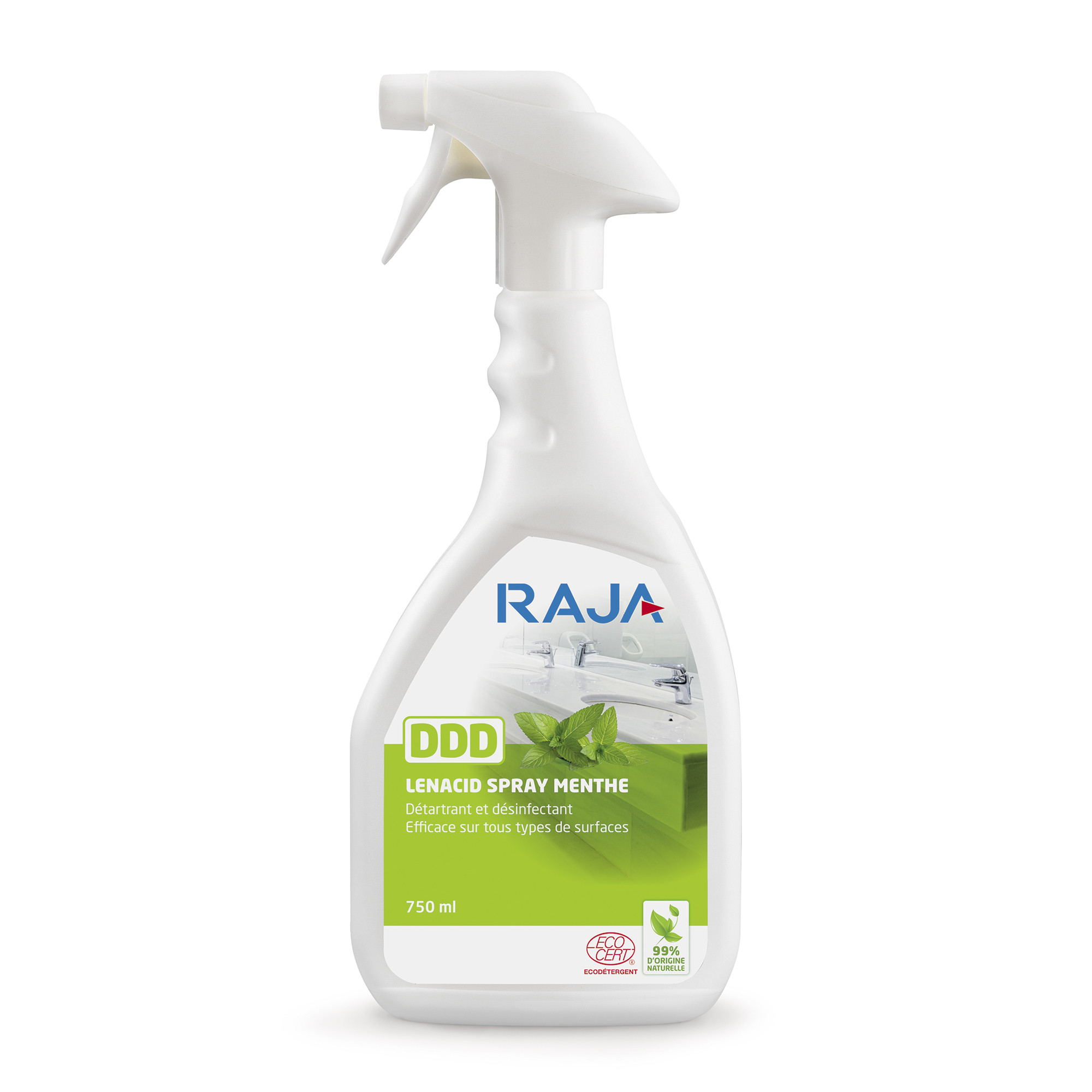 RAJA Détergent Détartrant Désinfectant DDD Lénacid Parfum Menthe - Spray 750ml