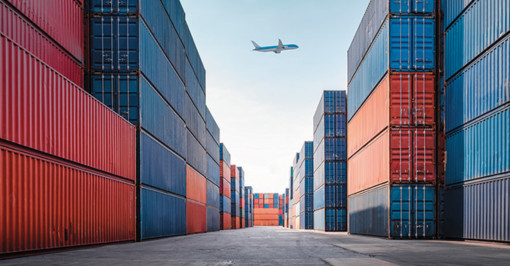Especial Exportación