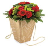 Embalagens e acessórios para flores e plantas