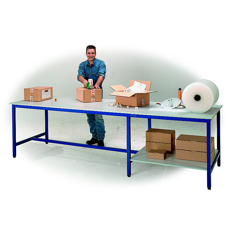 Table de travail multiservices - 300 x 100 cm - 6 pieds