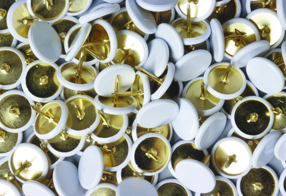 RAJA Punaises tte plate blanche en plastique -Bote de 120