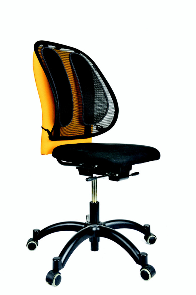 Fellowes Support dorsal en maille OfficeSuites - Noir