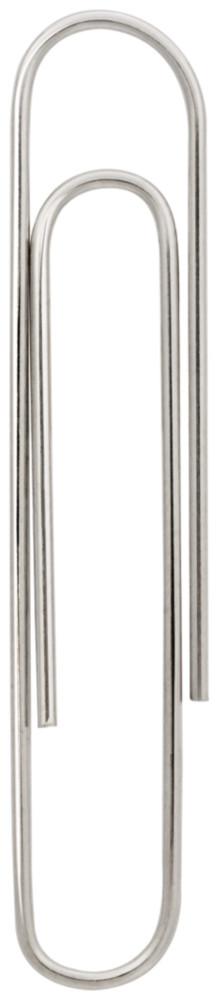 RAJA Trombones acier nickel 50 mm bout rond - Bote de 100