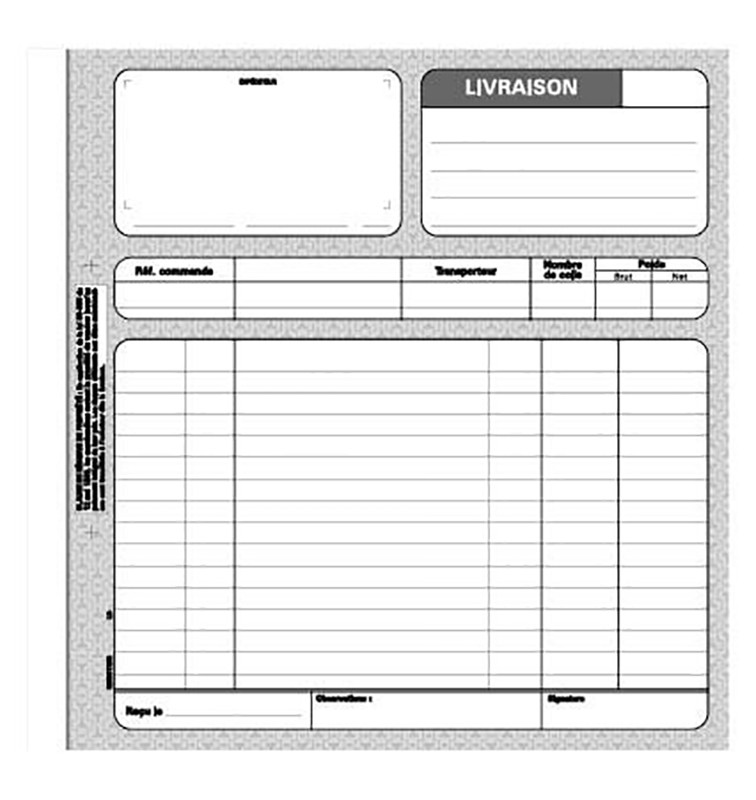 REGISTRES LE DAUPHIN Carnet de bons de livraison Manifold, deux exemplaires, 50 feuilles sans carbone, 210 x 210 mm