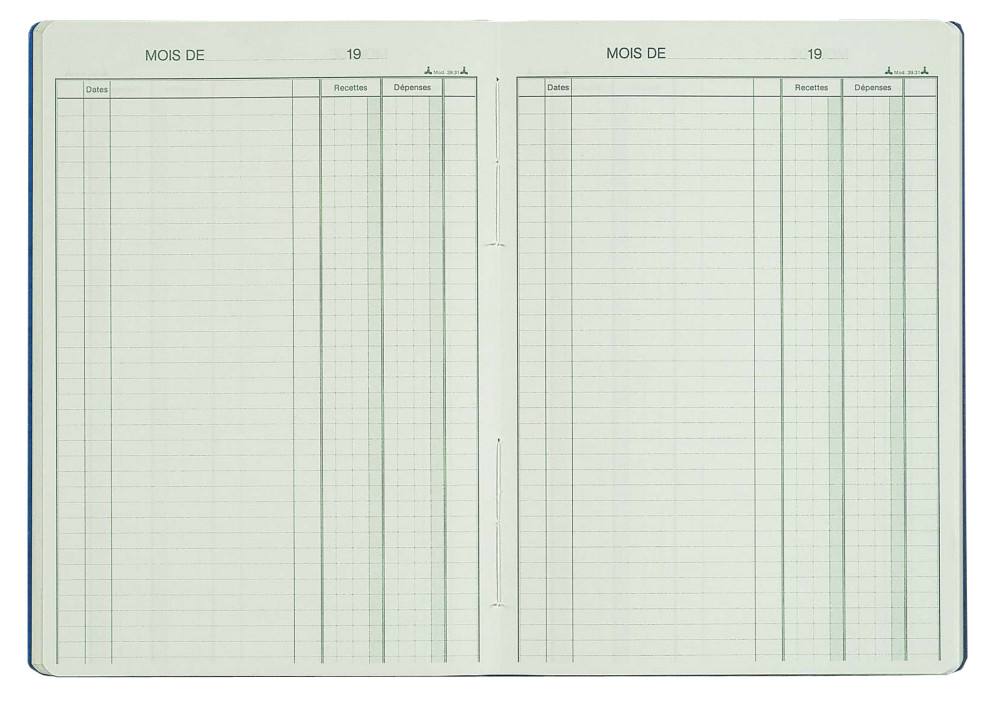 REGISTRES LE DAUPHIN Piqre Recettes-Dpenses - H.29,7xL.21 cm, 80 pages
