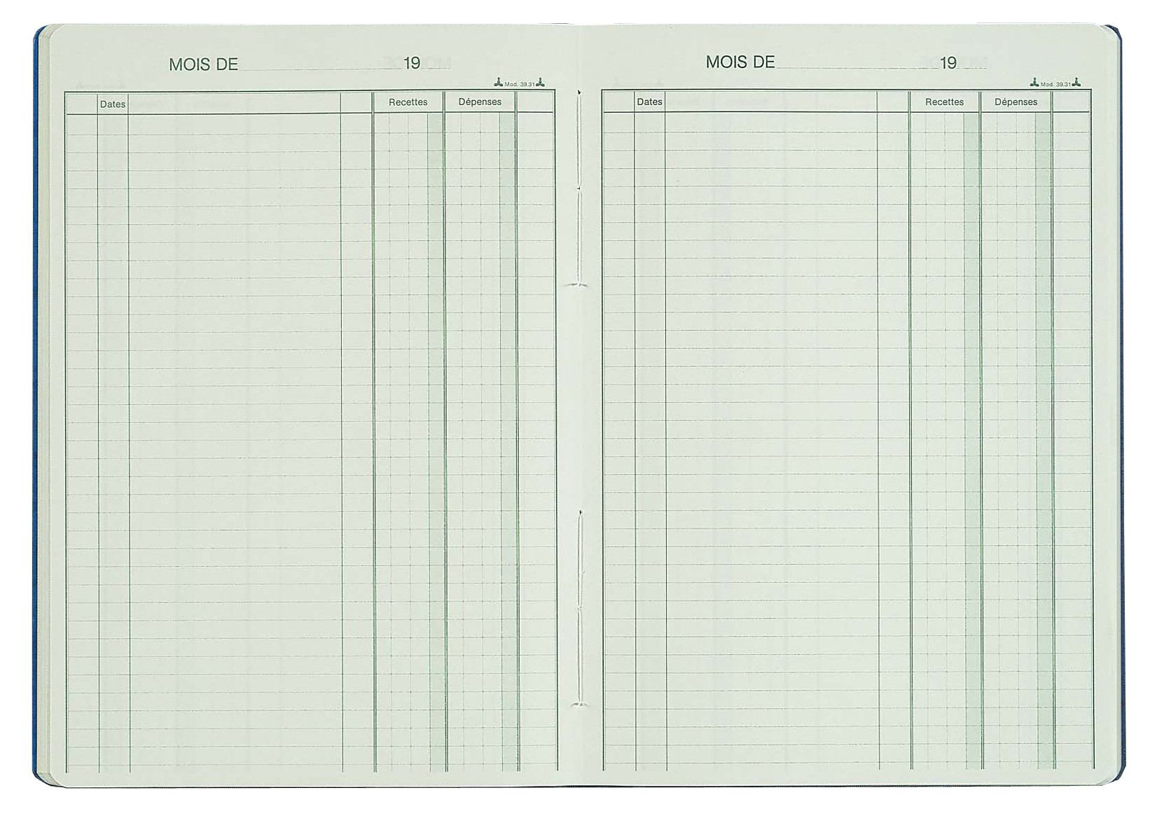 REGISTRES LE DAUPHIN Piqûre Recettes Dépenses H.29 7xL.21 cm 80 pages