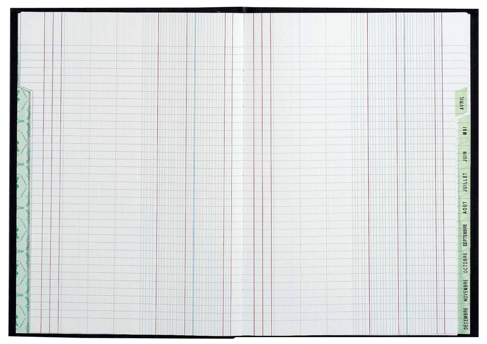 REGISTRES LE DAUPHIN Piqre Echancier mensuel - L.29,7xH.21 cm, 96 pages