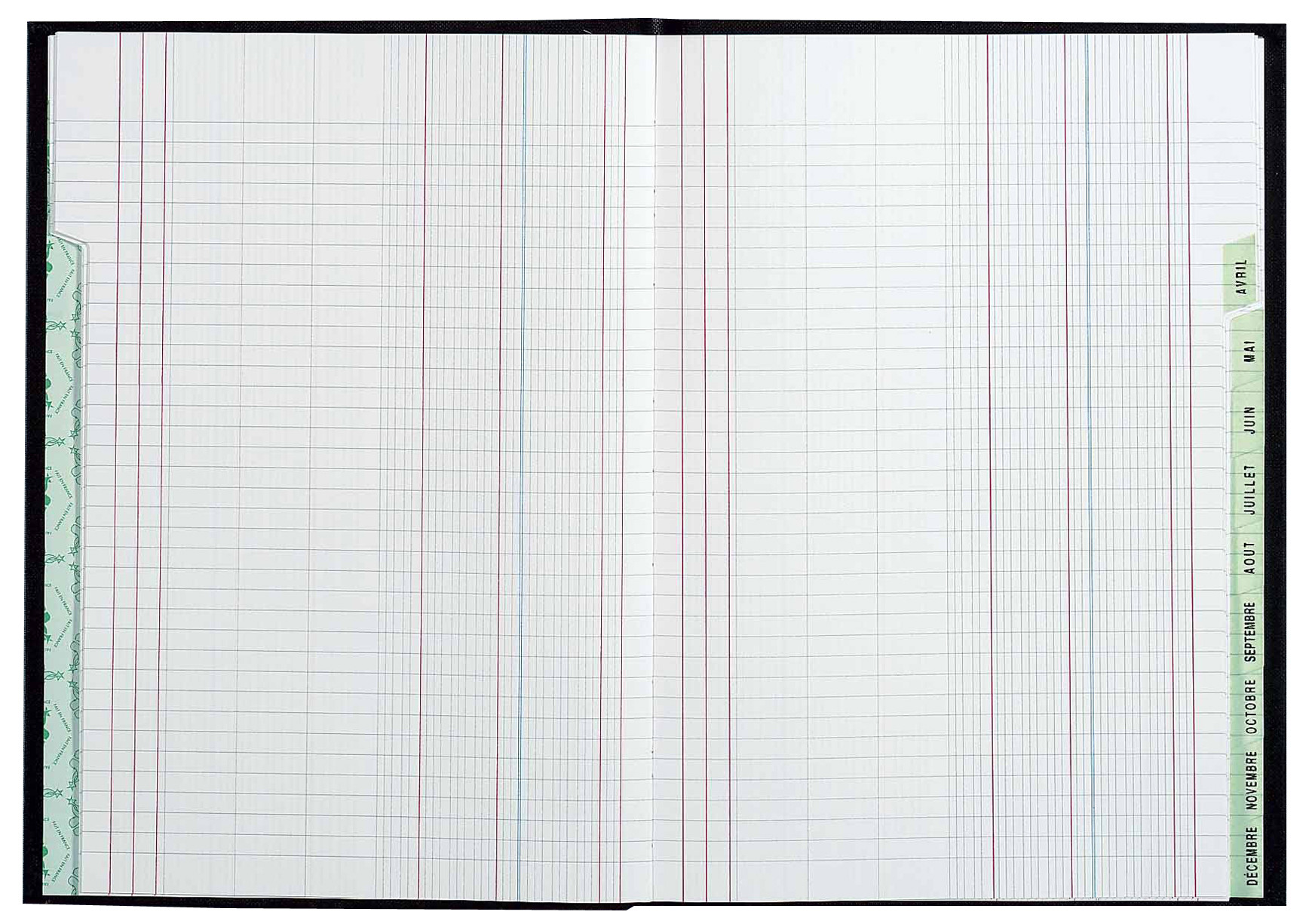 REGISTRES LE DAUPHIN Piqûre Echéancier mensuel - L.29,7xH.21 cm, 96 pages