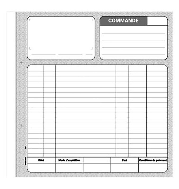 Registres LE DAUPHIN manifold autocopiant 'Commande', double exemplaires 21x21cm, 50 pages
