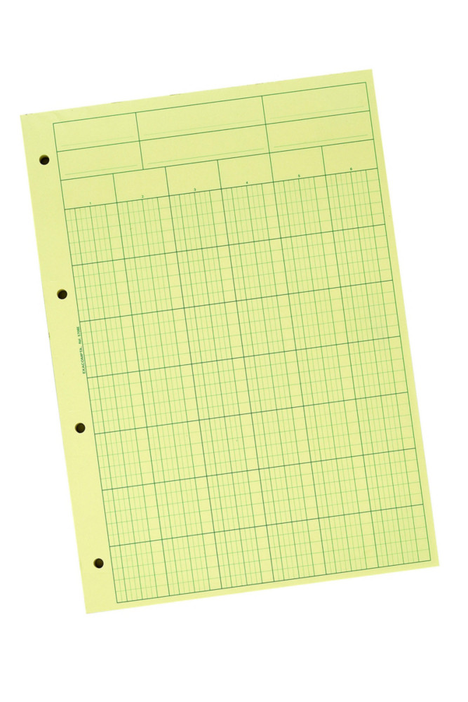 Exacompta Bloc Audit de Contrle comptable, 6 colonnes, 70 feuillets - 21 x 29,7 cm - A4