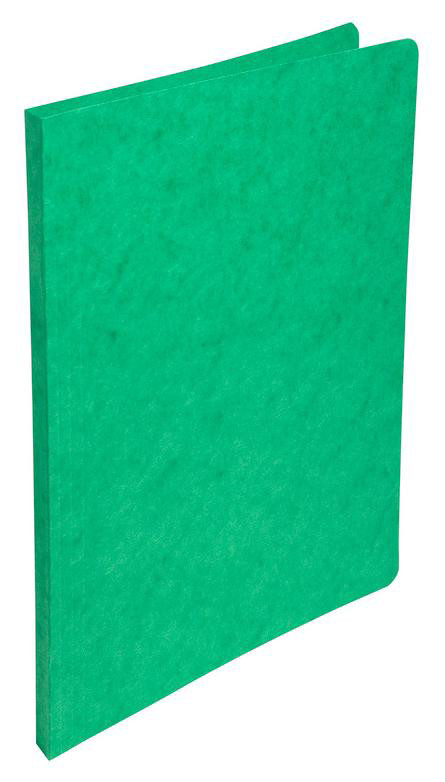 Exacompta Chemise Nature Future sans rabat A4 carte lustre - 24 x 32 cm - Vert
