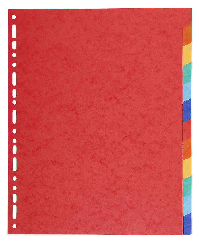 Exacompta Intercalaires neutres maxi A4+ en carte lustre 225G - 12 divisions - Assortis