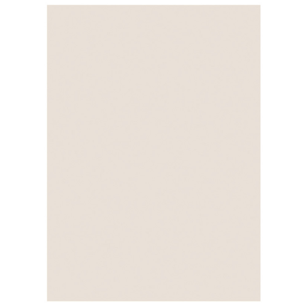 RAJA Sous-chemises 60g recycles - 22 x 31 cm - Pastel Gris - Lot de 250