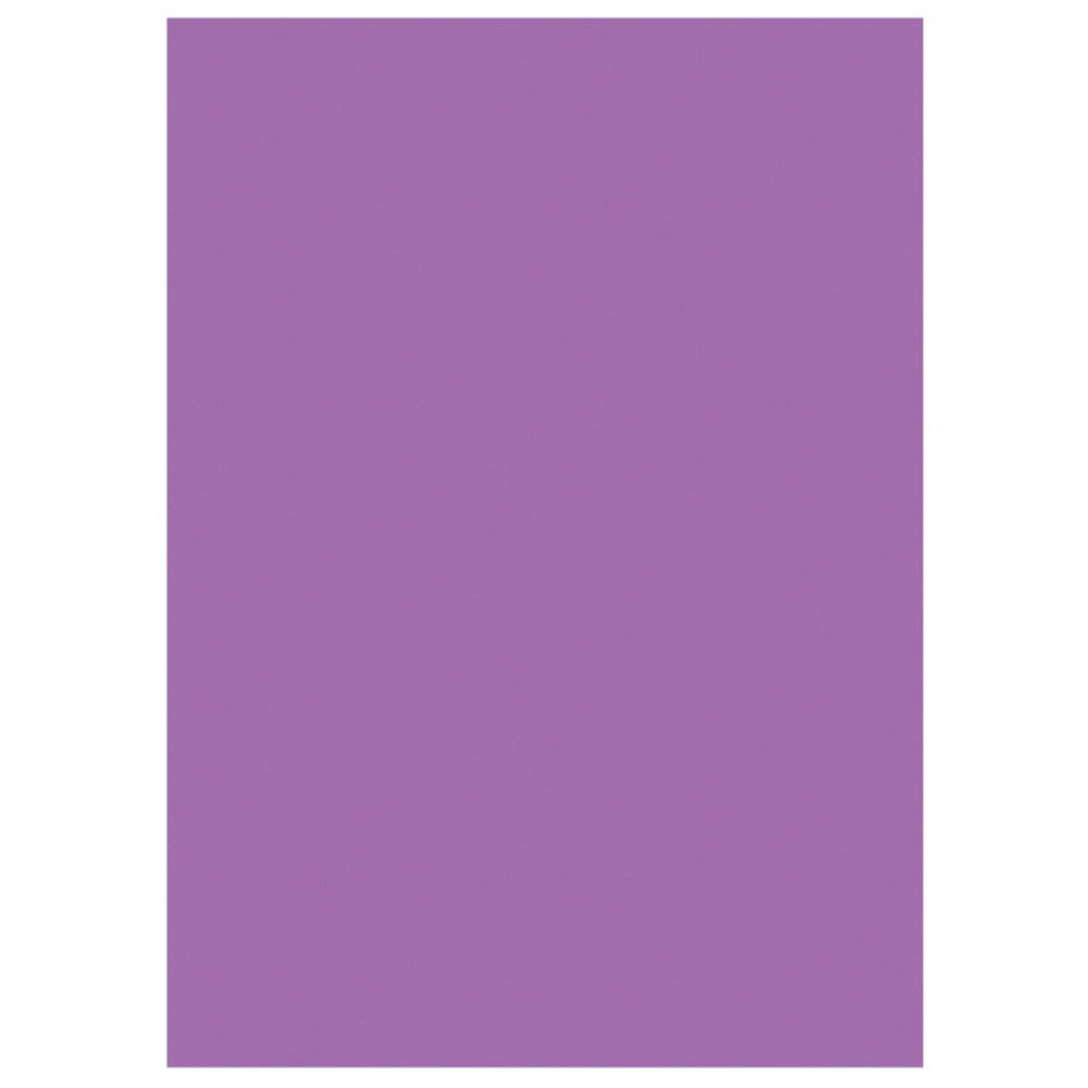RAJA Sous-chemises 60g recycles - 22 x 31 cm - Pastel Violet - Lot de 250