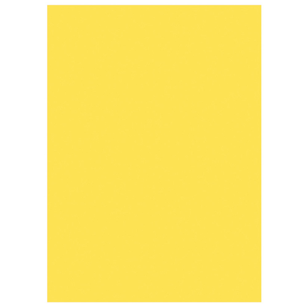 RAJA Sous-chemises 60g recycles - 22 x 31 cm - Pastel Jaune - Lot de 250