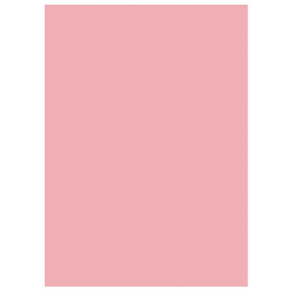 RAJA Sous-chemises 60g recycles - 22 x 31 cm - Pastel Rose - Lot de 250