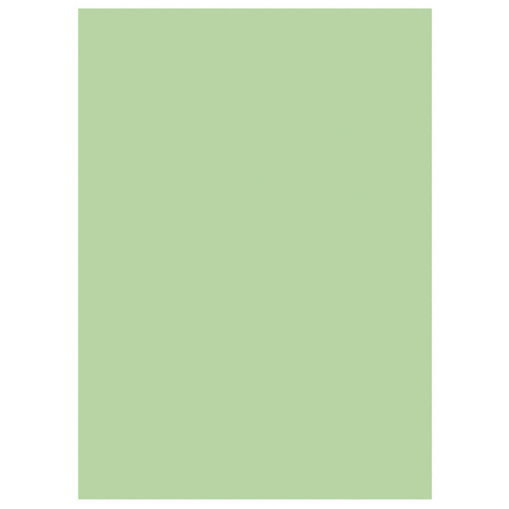RAJA Sous-chemises 60g recycles - 22 x 31 cm - Pastel Vert - Lot de 250
