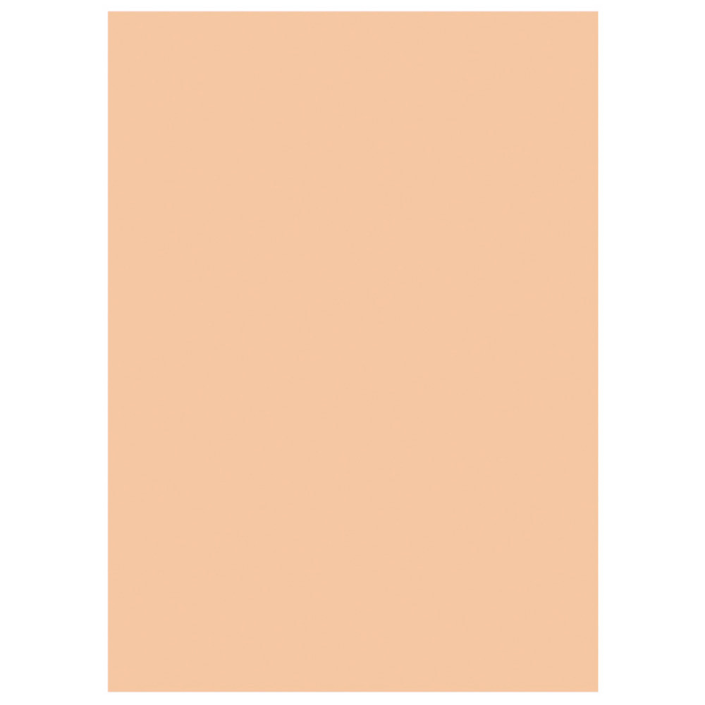 RAJA Sous-chemises 60g recycles - 22 x 31 cm - Pastel Bulle - Lot de 250