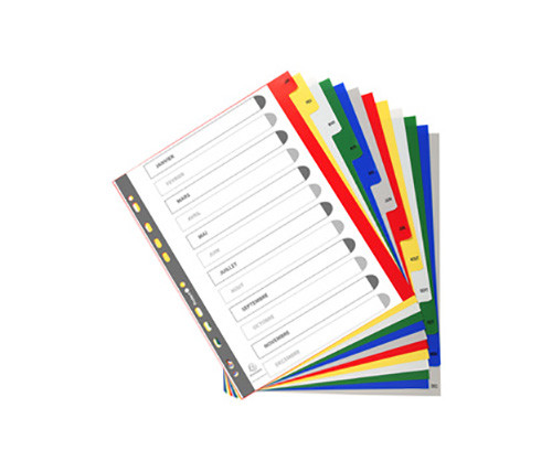 Exacompta Intercalaires mensuels maxi A4+ en polypropylne, 12 divisions - Assortis