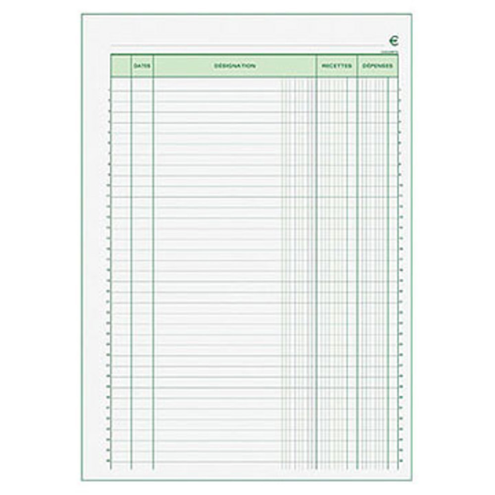 Exacompta Manifold RECETTES DEPENSES - 29,7 x 21 cm - 50 feuilles autocopiantes 2 exemplaires