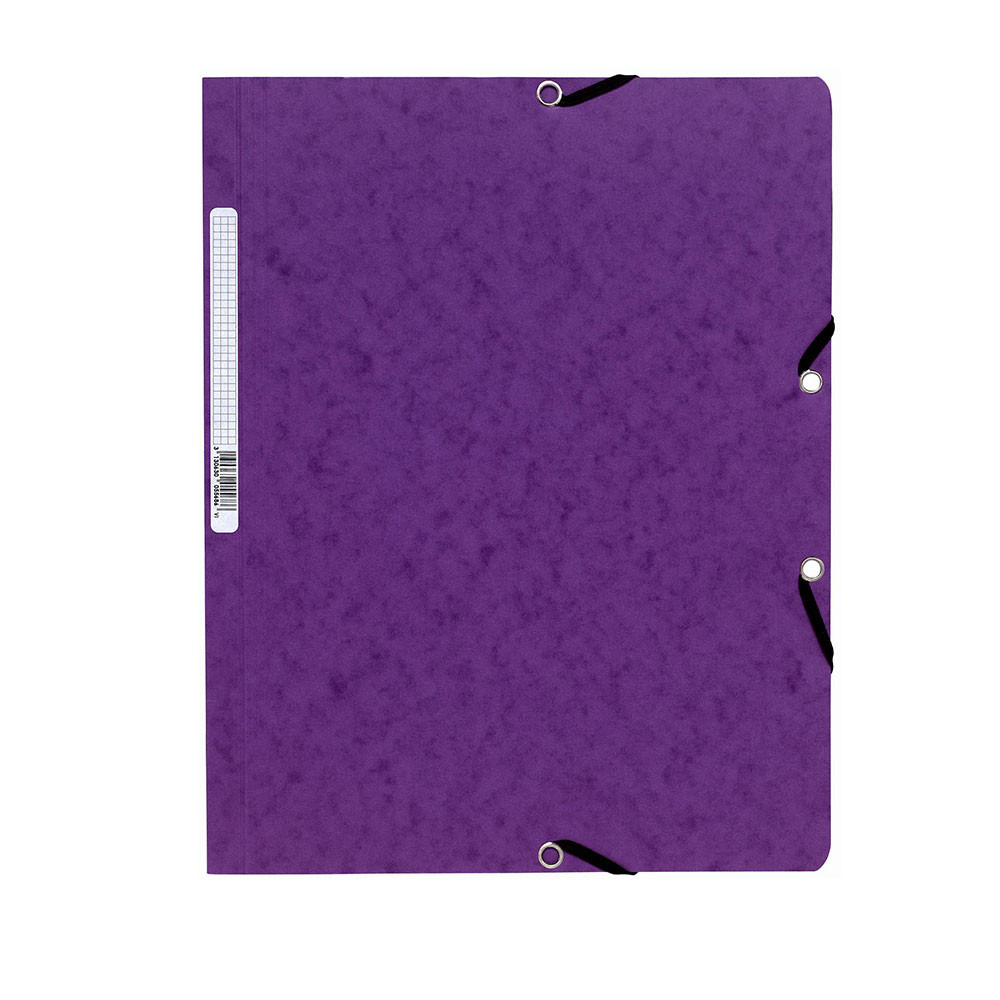 Exacompta ChemiseNatureFuture  fermeture lastique sans rabat 250feuillesA4 400g/m en carte  violet - Lot de 25