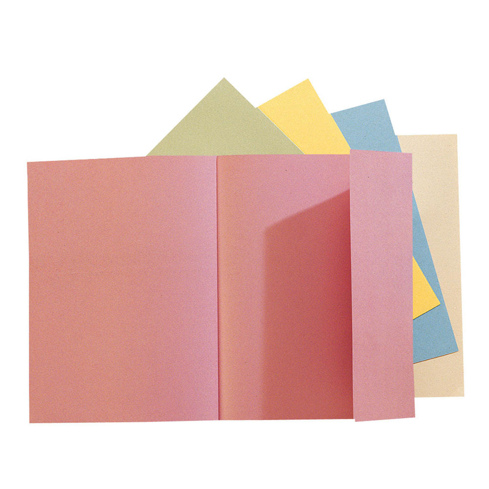Exacompta Chemise  un rabat Nature Future Jura 200feuilles A4 24x32cm en carte Couleurs pastel assorties Lot de 100