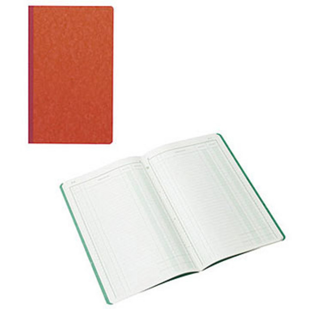 Piqûre recettes dépenses 80 pages 32 x 19 5 cm