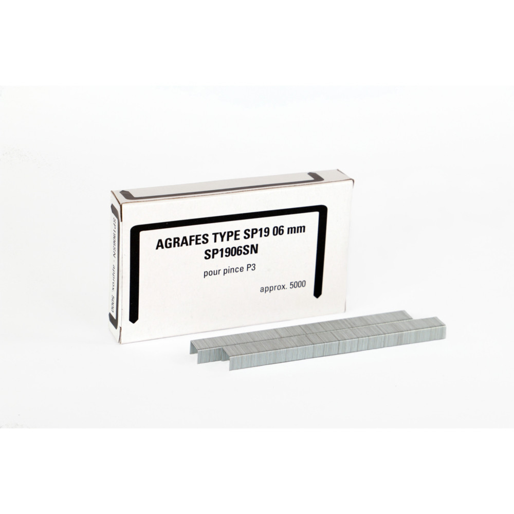 Bostitch Agrafes SP 19 1/4'', pour pince P3 - Bote de 5000