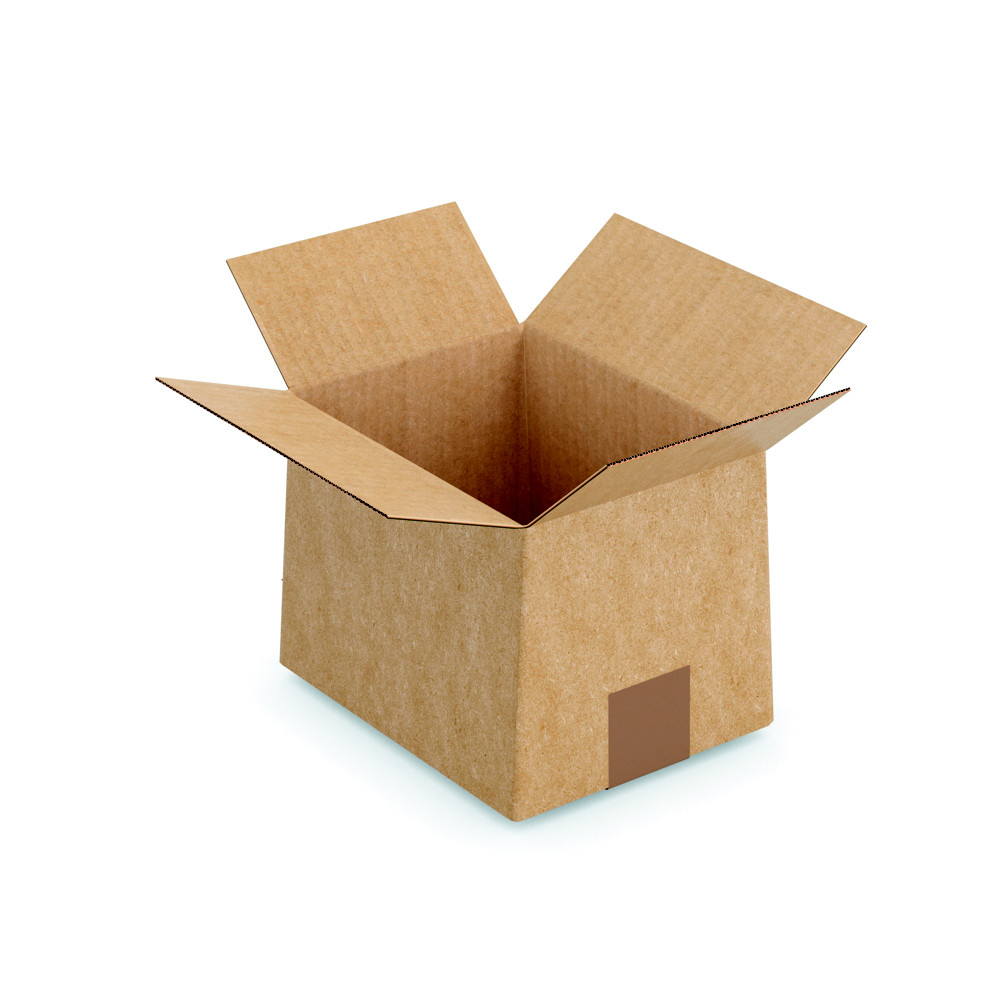 RAJA Caisse en carton simple cannelure brun - Montage instantan - Fermeture adhsive - L.26 x l.22 x H.13 cm - Lot de 20