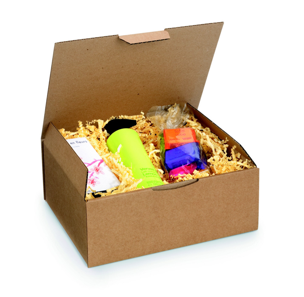 RAJA Bote d'expdition brune en carton simple cannelure - L.25 x l.20 x H.10 cm - Lot de 50