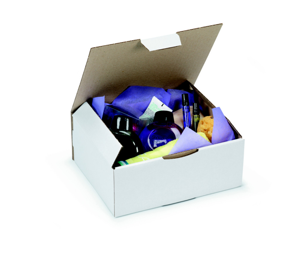 RAJA Bote d'expdition blanche en carton simple cannelure - L.25 x l.20 x H.10 cm - Lot de 50