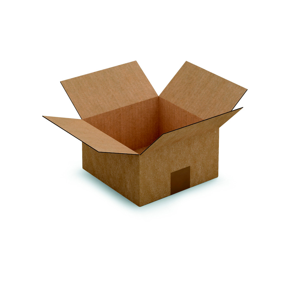 RAJA Caisse amricaine carton simple cannelure - L.20 x l.20 x H.11 cm - Kraft brun - Lot de 25