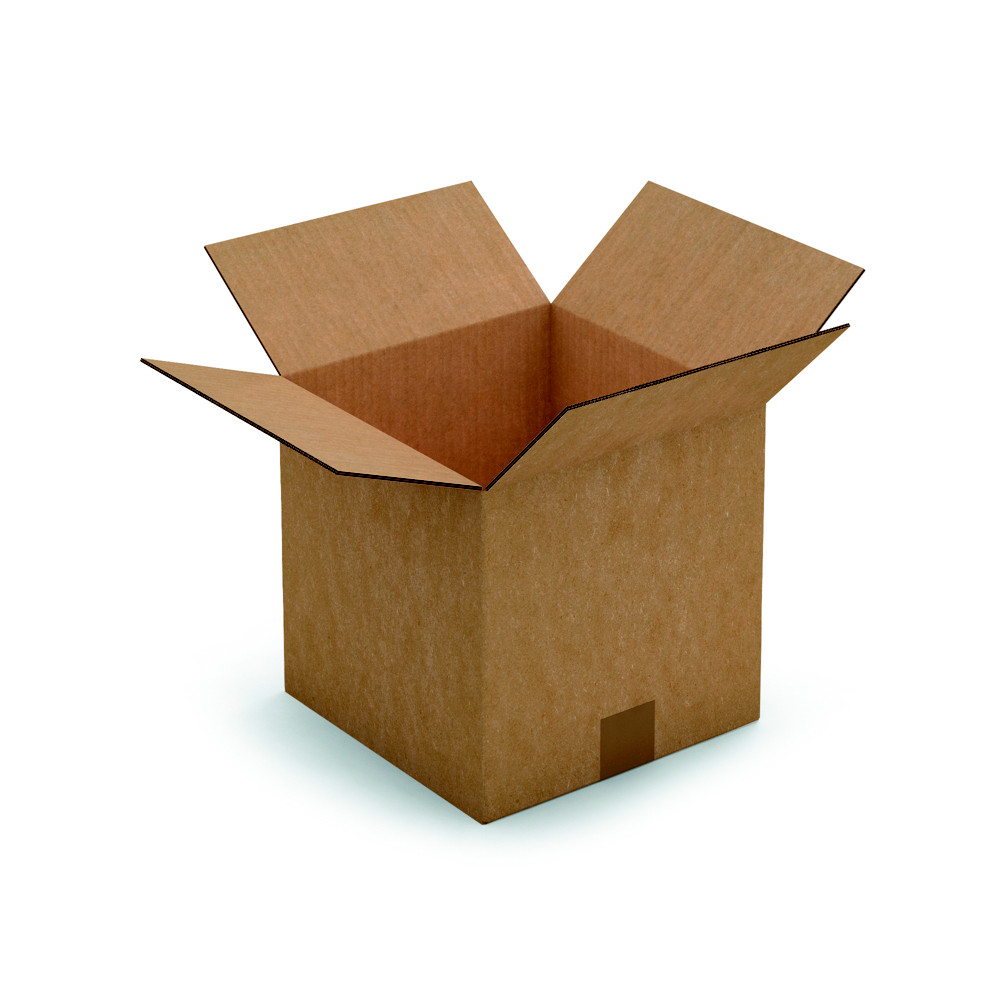 RAJA Caisse amricaine carton double cannelure - L.25 x l.25 x H.25 cm - Kraft brun - Lot de 15