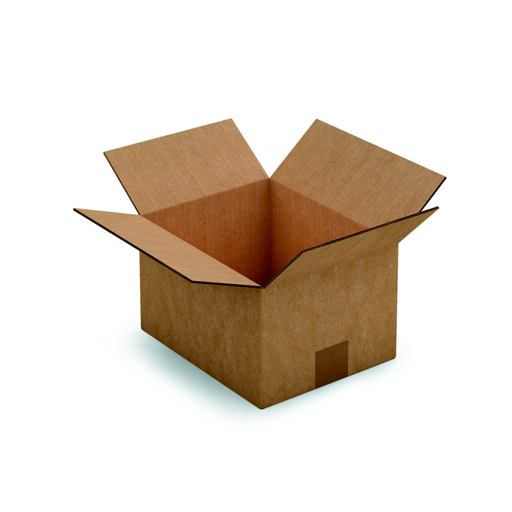 RAJA Caisse amricaine carton double cannelure - L.25 x l.20 x H.15 cm - Kraft brun - Lot de 15