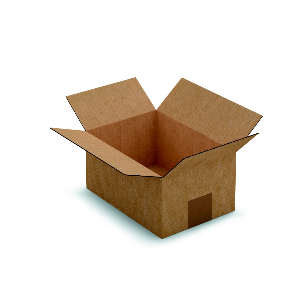RAJA Caisse amricaine carton simple cannelure - L.21,5 x l.15 x H.10,5 cm - Kraft brun - Lot de 25