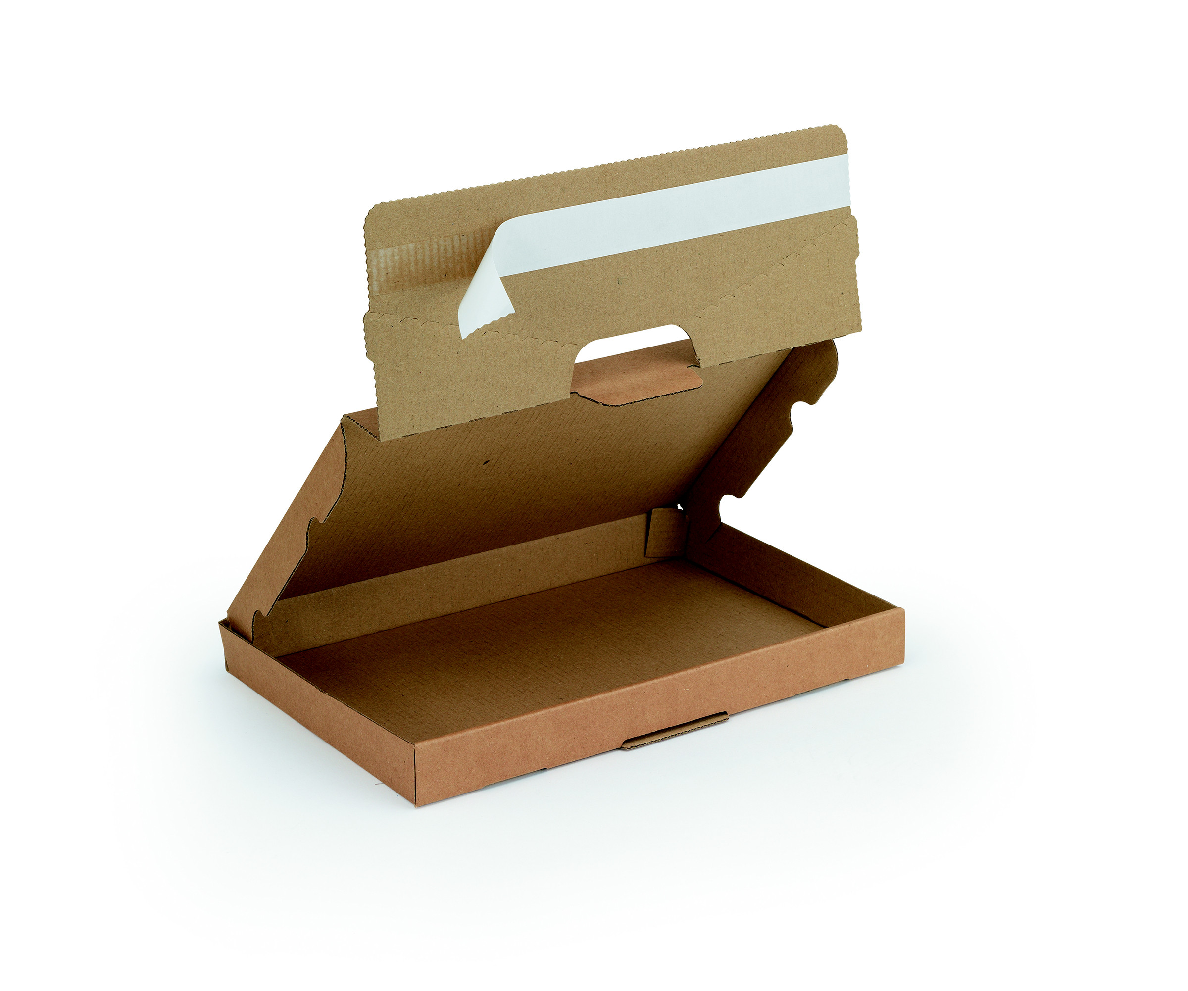 Boîte postale extra-plate fermeture adhésive en carton simple cannelure brun - L.25 x l.16 x H.2,5 cm - Lot de 50