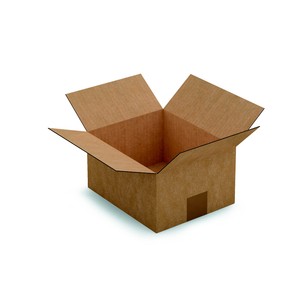 RAJA Caisse amricaine carton simple cannelure - L.23 x l.19 x H.12 cm - Kraft brun - Lot de 25