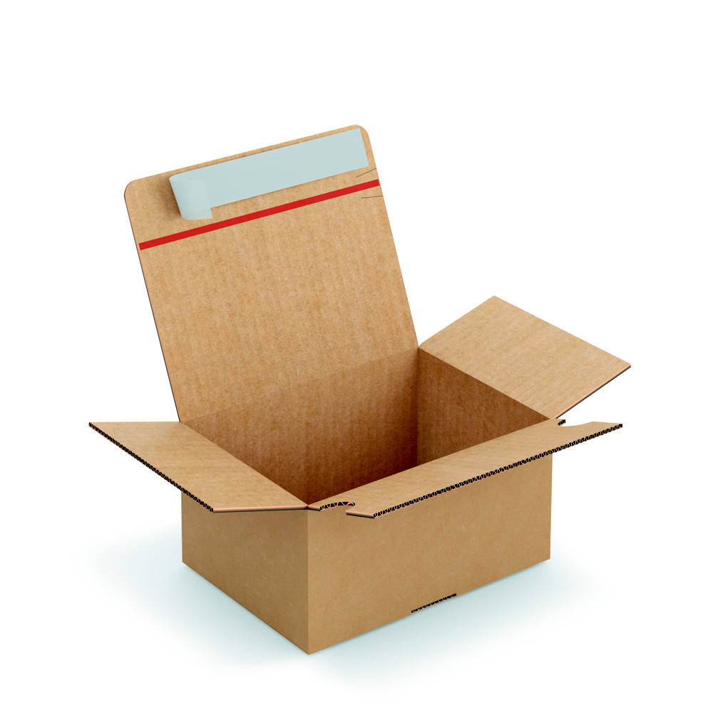 Caisse  montage instantan et fermeture adhsive en carton simple cannelure brun - L.21,5 x l.15,5 x H.11 cm - Lot de 20