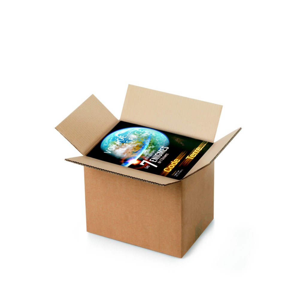 RAJA Caisse amricaine carton double cannelure - L.31 x l.22 x H.25 cm - Kraft brun - Lot de 15