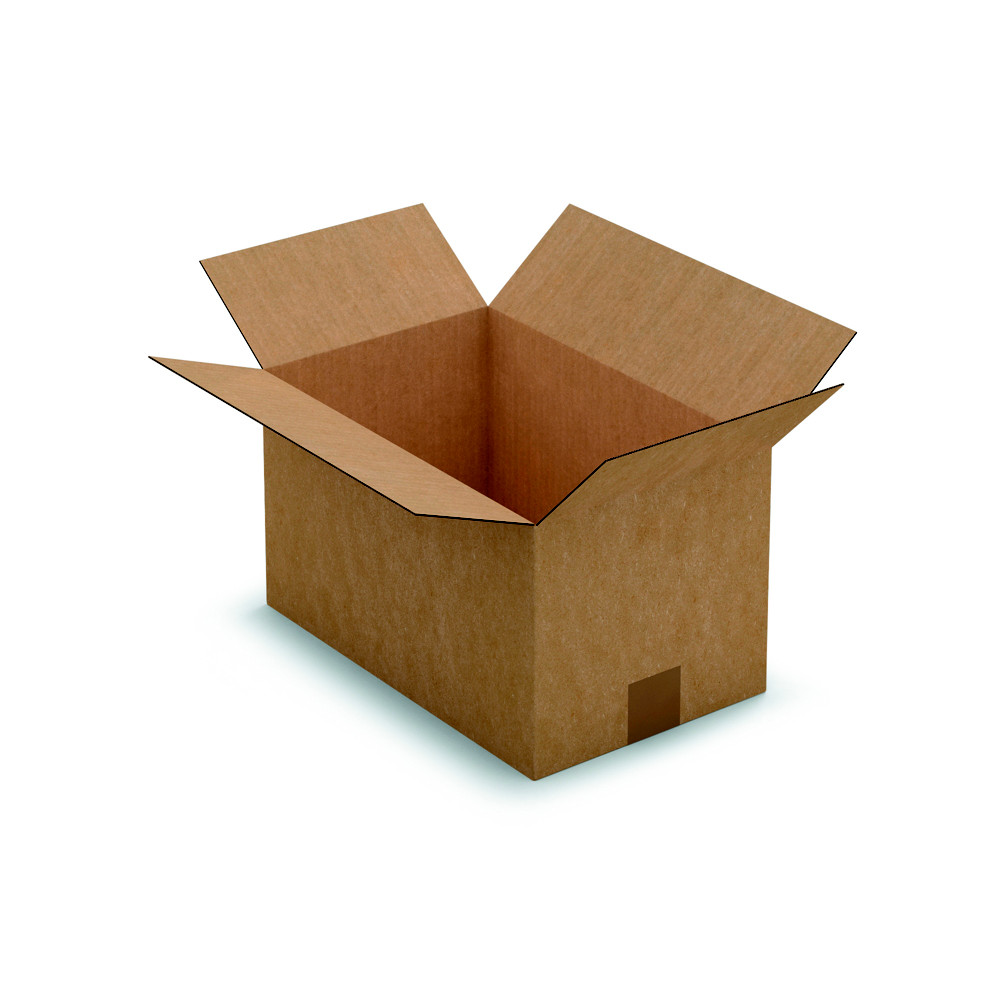 RAJA Caisse amricaine carton simple cannelure - L.25 x l.25 x H.25 cm - Kraft brun - Lot de 25