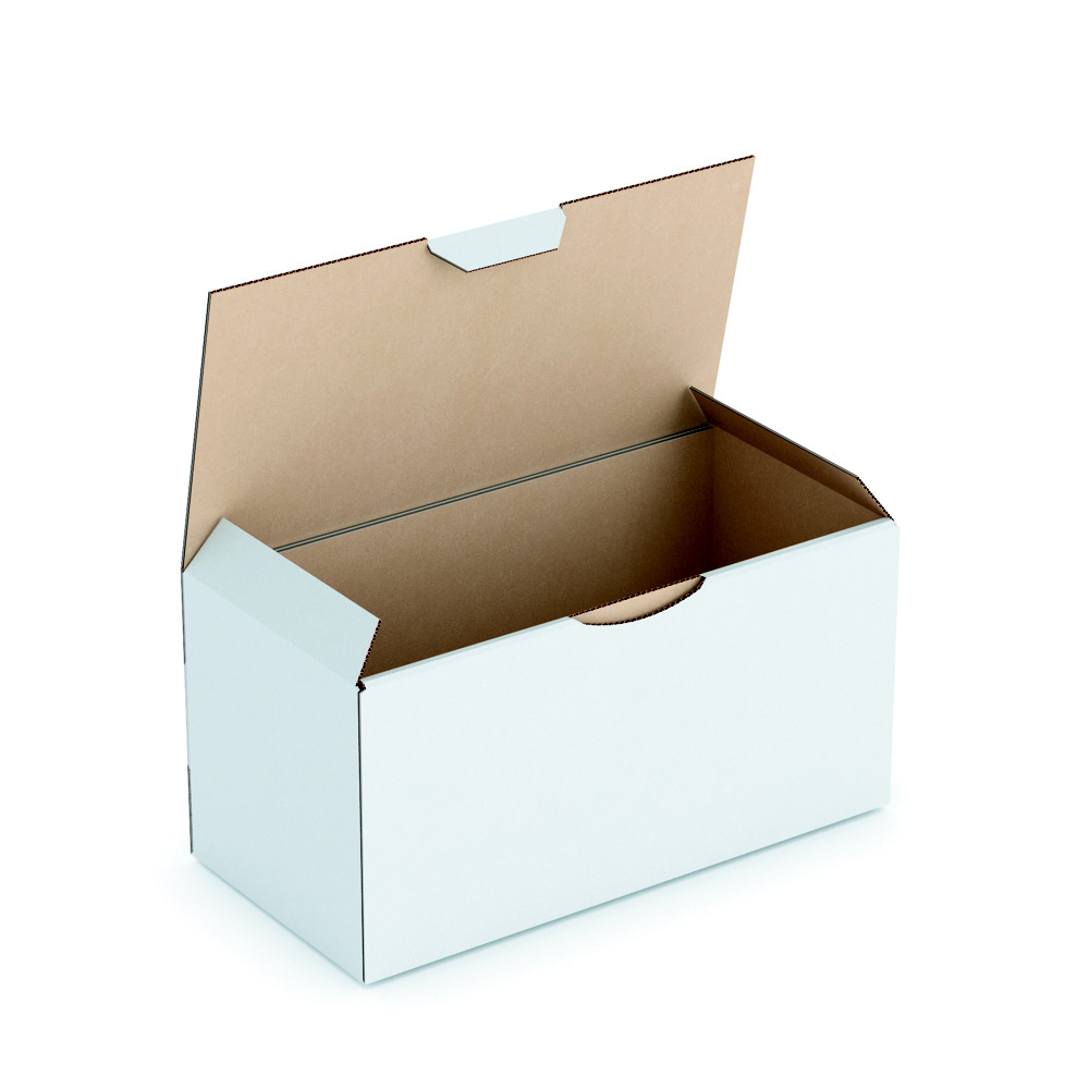 RAJA Bote d'expdition blanche en carton simple cannelure - L.20 x l.10 x H.10 cm - Lot de 50