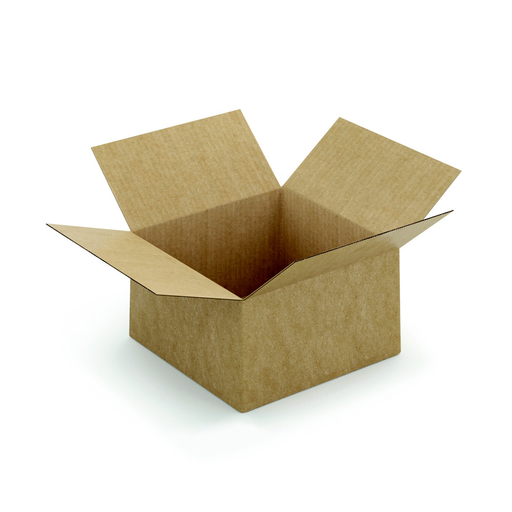 RAJA Caisse  montage instantan en carton simple cannelure brun - L.25 x l.25 x H.15 cm - Lot de 20
