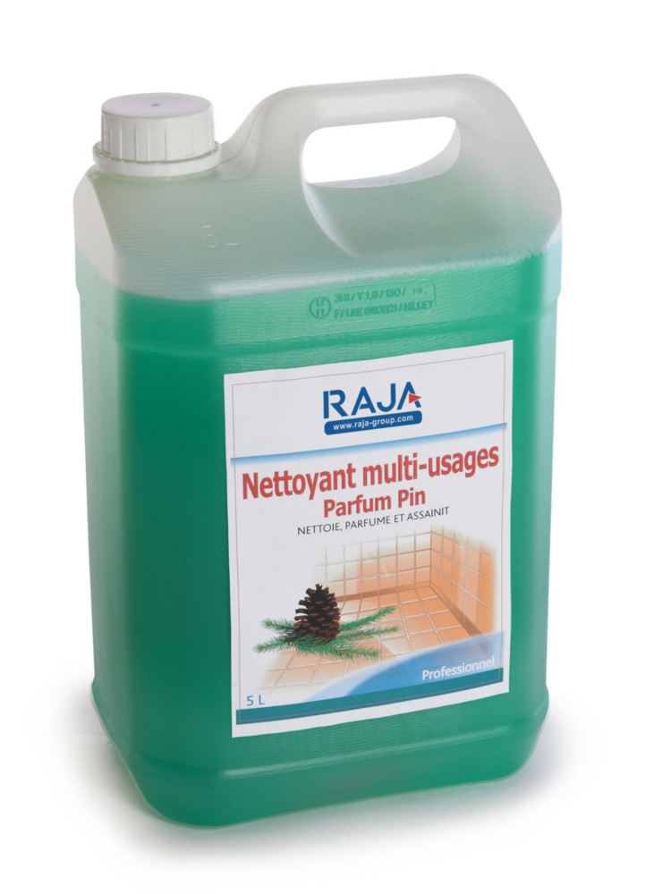 RAJA Nettoyant multi-usages - Pin - Bidon 5L