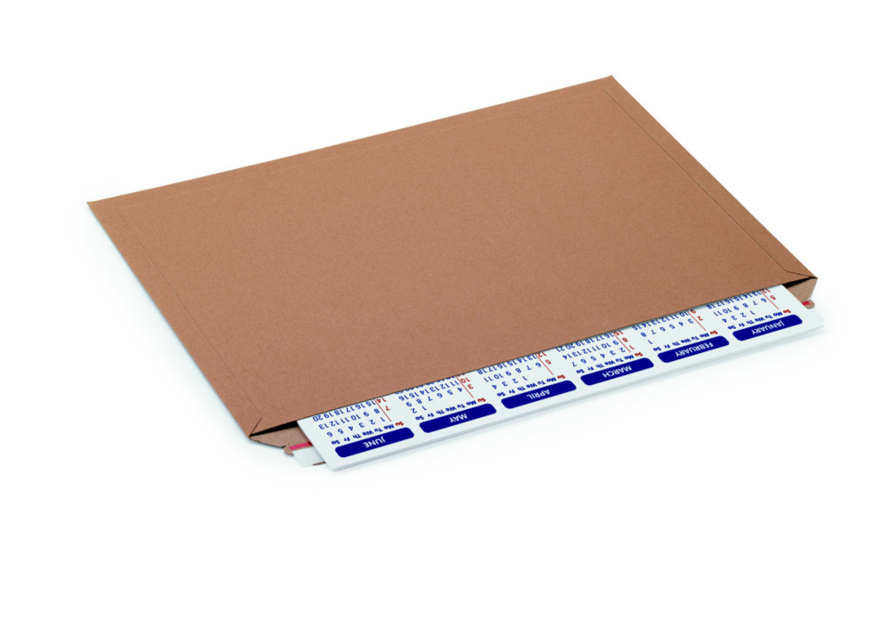 RAJA Pochette carton plat brun autocollante bande protectrice - 18 x 16,4 cm - Lot de 100