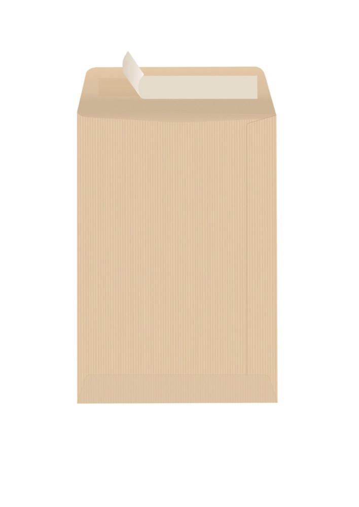 RAJA Pochette kraft brun Ars 260 x 330 mm 90g sans fentre - autocollante bande protectrice - Lot de 250