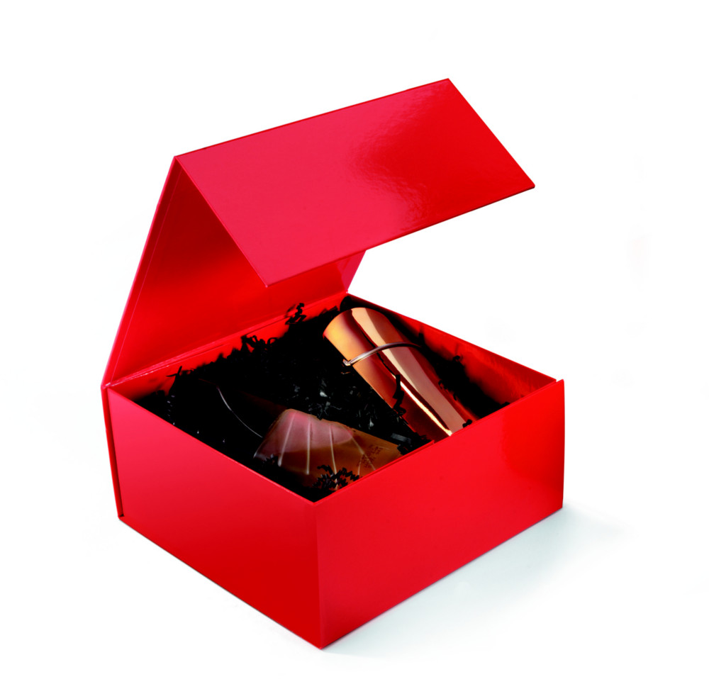 Bote cadeau carton fermeture aimante L.22,5 x l.22,5 x H.10,5 cm - Rouge brillant - Lot de 10