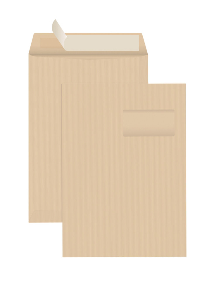 RAJA Pochette kraft brun Ars C4 229 x 324 mm 90g fentre 50 x 100 mm - autocollante bande protectrice - Lot de 250
