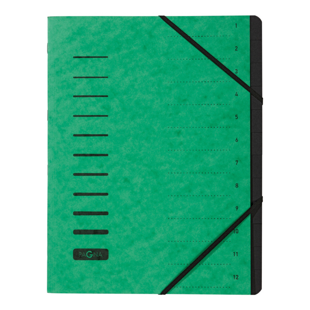 PAGNA Trieur  lastiques en carte - 12 divisions - Vert