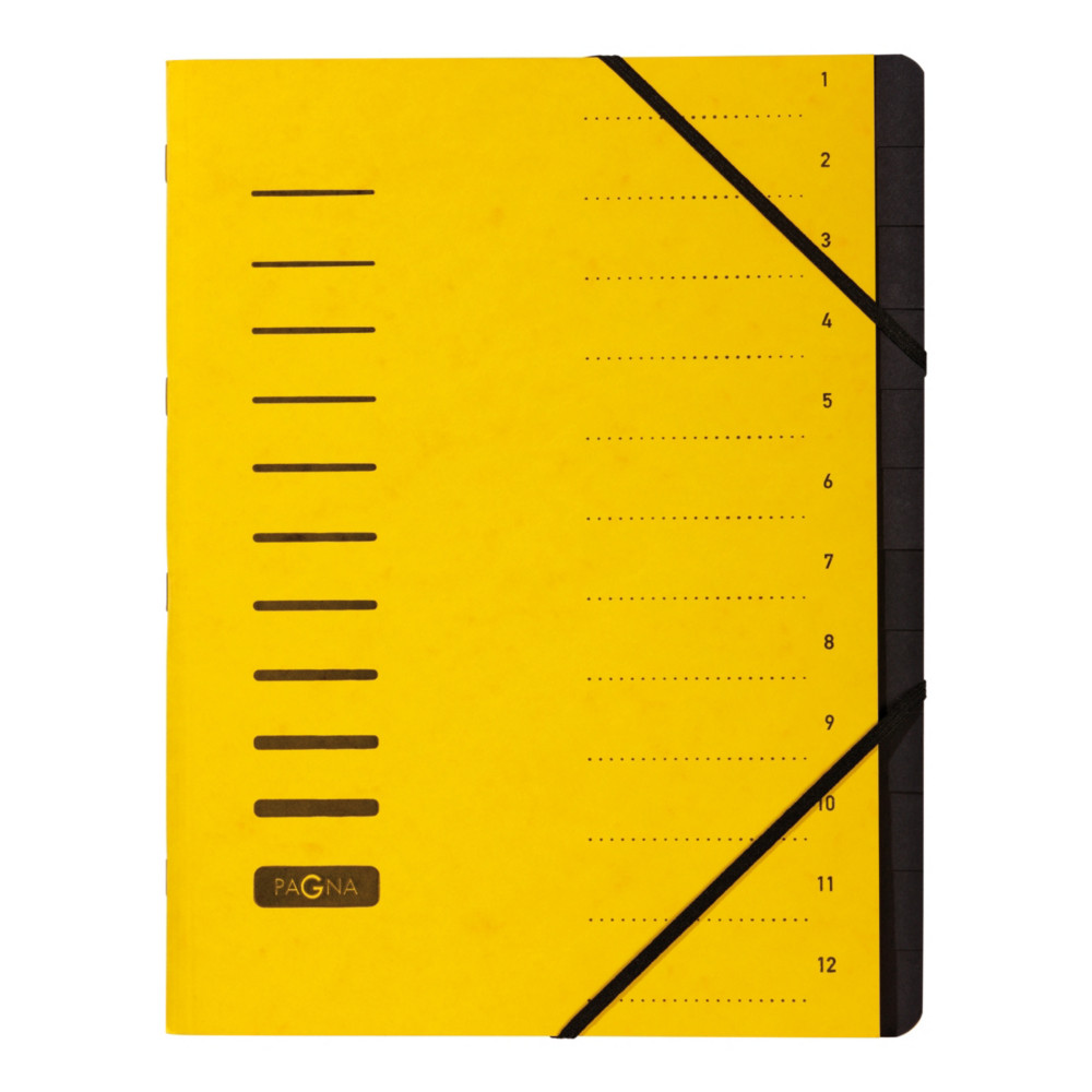 PAGNA Trieur  lastiques en carte  - 12 divisions - Jaune
